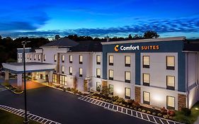 Comfort Suites Knoxville West - Farragut